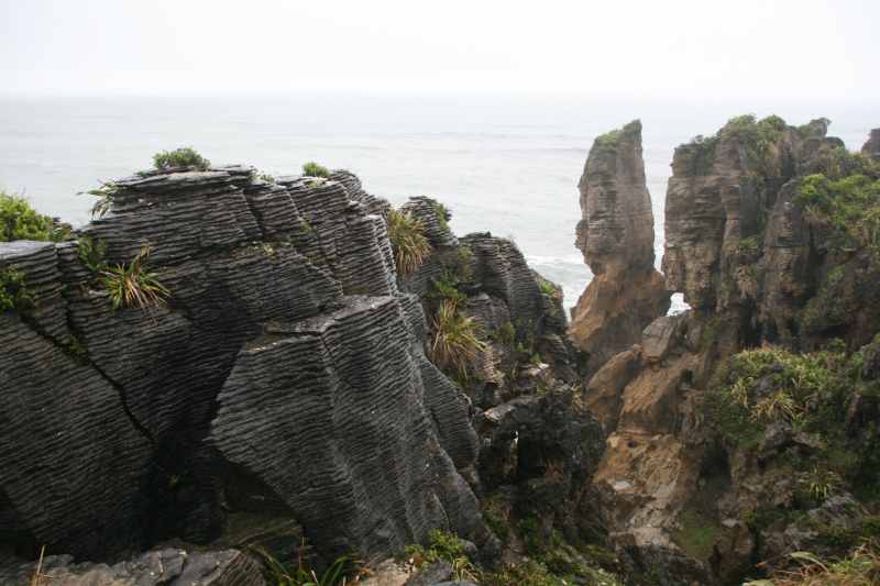 Nieuw-Zeeland 2011 - 1311